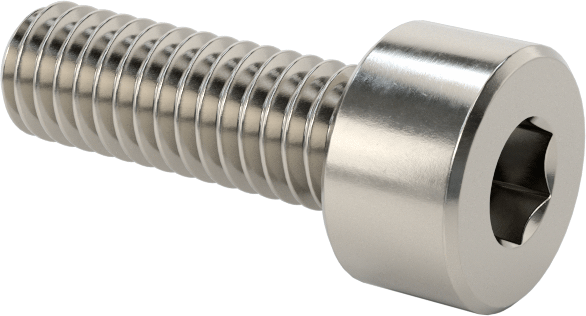 Allen Socket Head – M5  x  6 mm – SS304 – Natural Finish