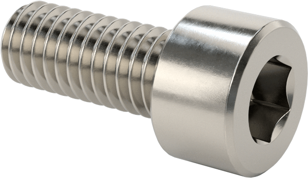 Allen Socket Head – M6  x  50 mm – SS304 – Natural Finish